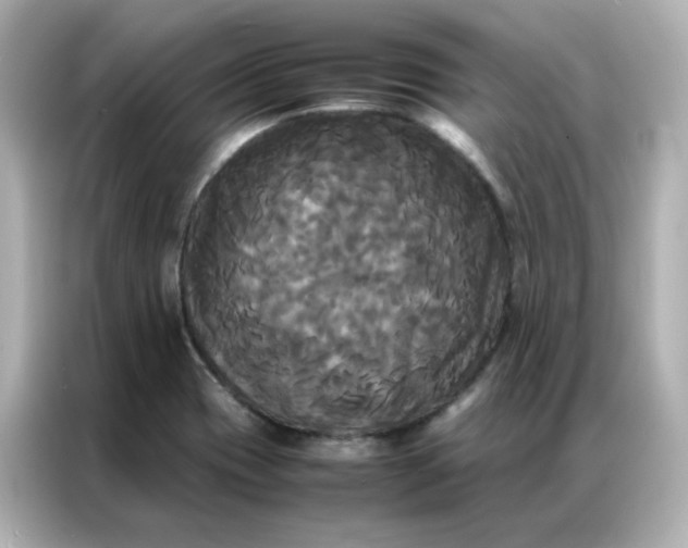 X0000086921417200704301048