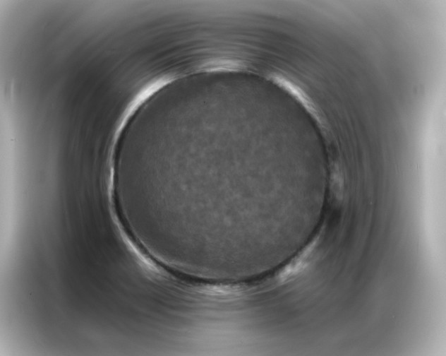 X0000086921418200704301048