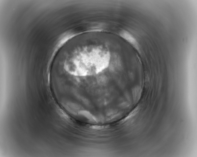 X0000086921419200704301048