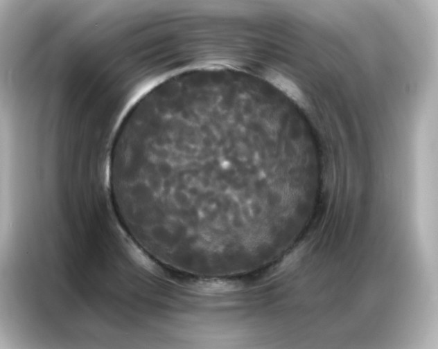 X0000086921420200704301048