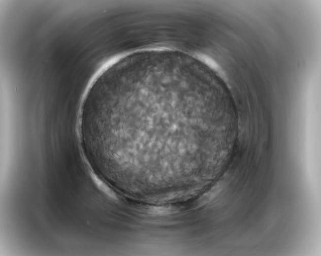 X0000086921421200704301048