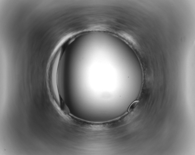 X0000086921422200704301048