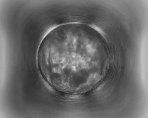 X0000086921423200704301048