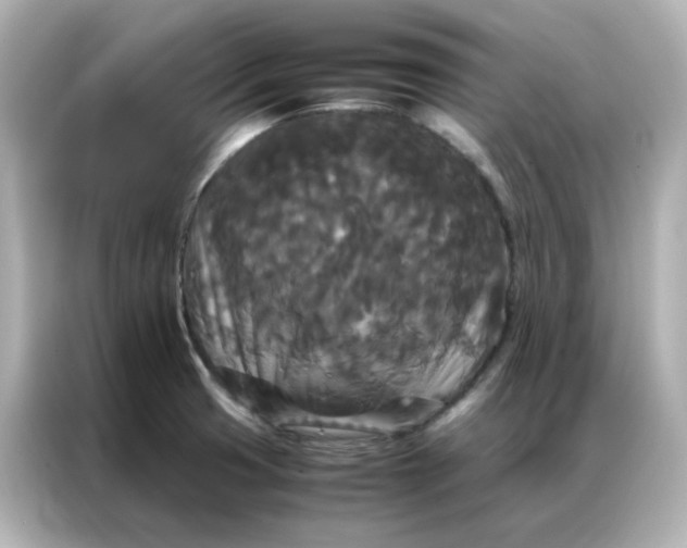 X0000086921425200704301048