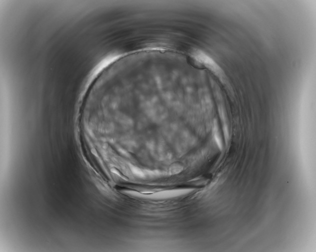 X0000086921427200704301048