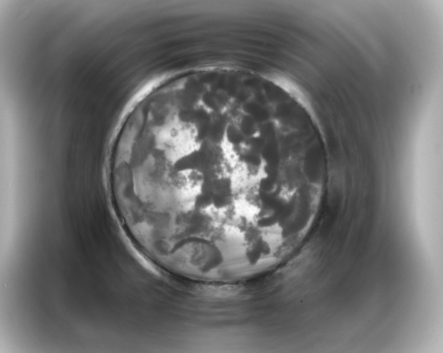 X0000086921429200704301048