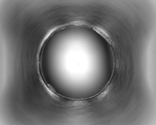 X0000086921430200704301048