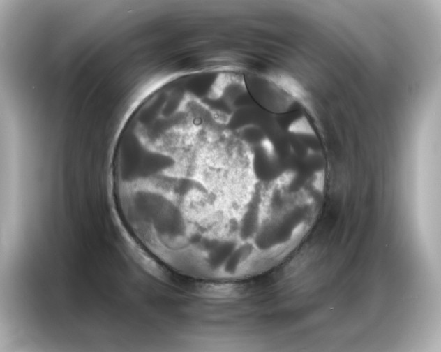X0000086921431200704301048