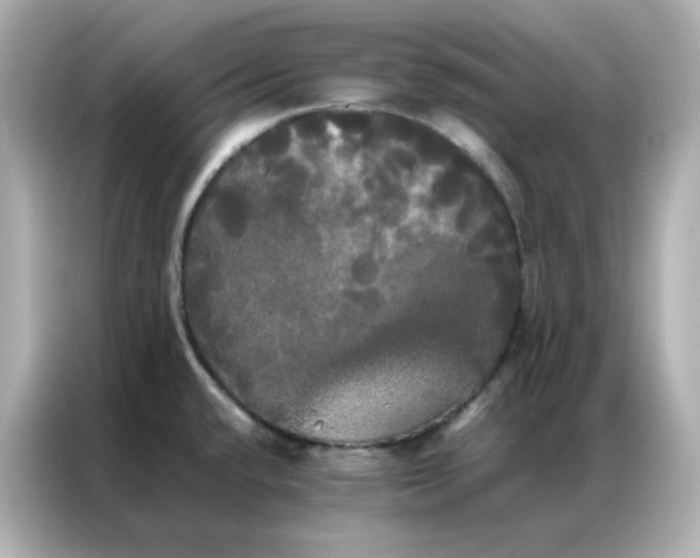 X0000086921432200704301048