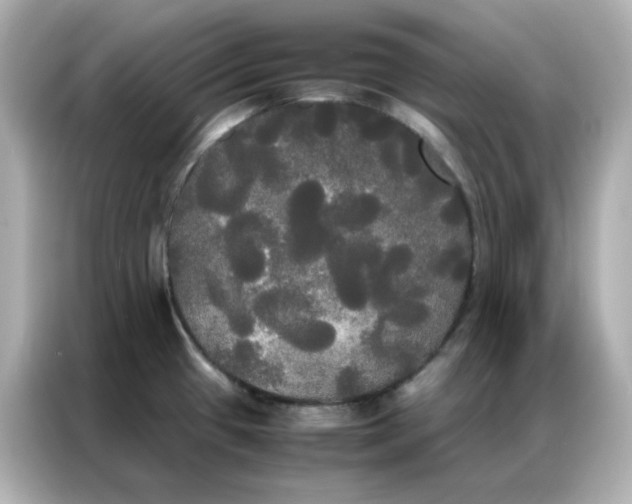 X0000086921433200704301048