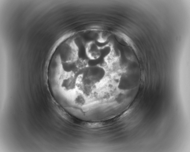 X0000086921435200704301048