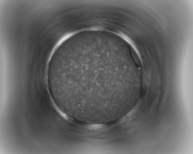 X0000086921437200704301048