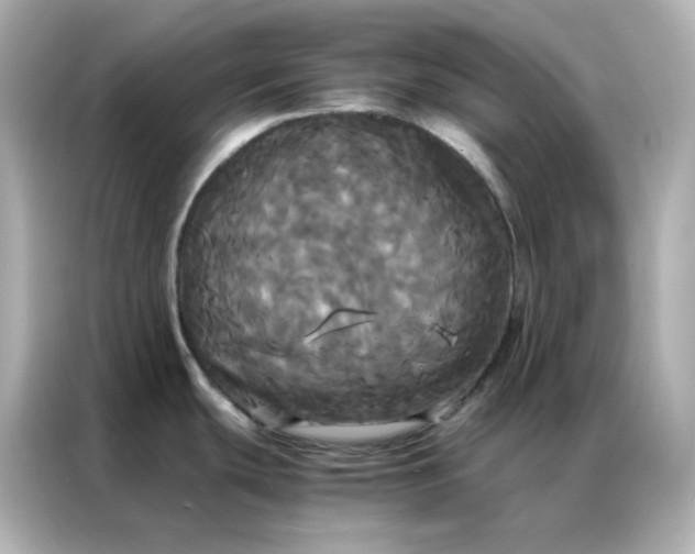 X0000086921439200704301048