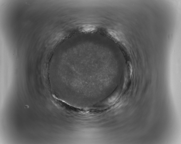 X0000086921441200704301048