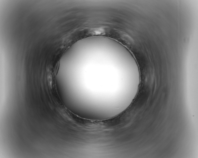 X0000086921442200704301048