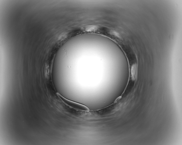 X0000086921443200704301048