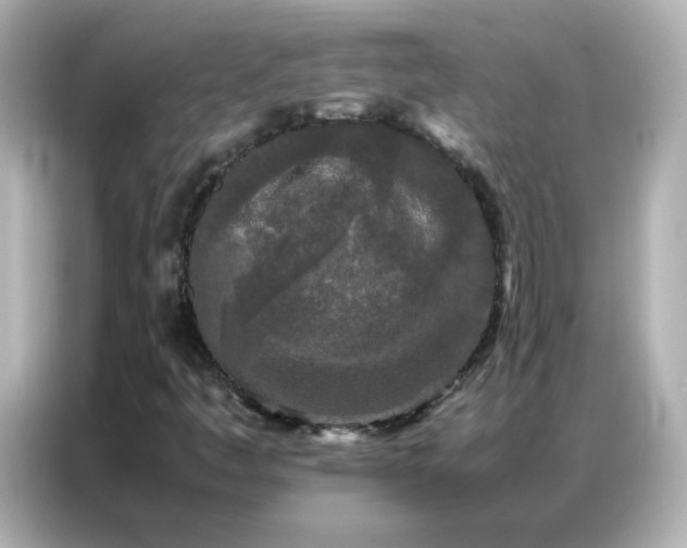 X0000086921445200704301048