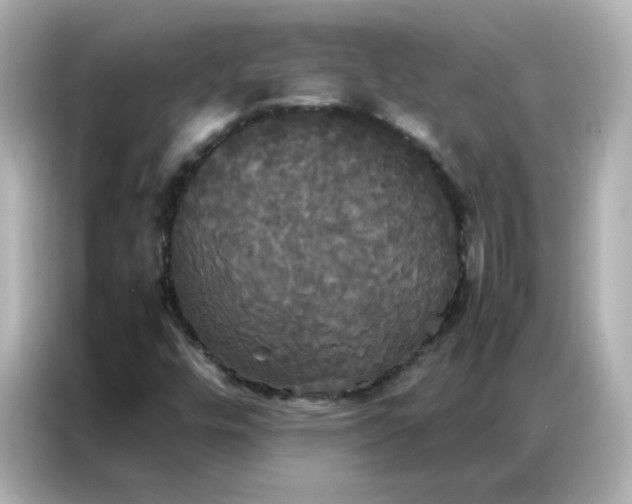 X0000086921448200704301048