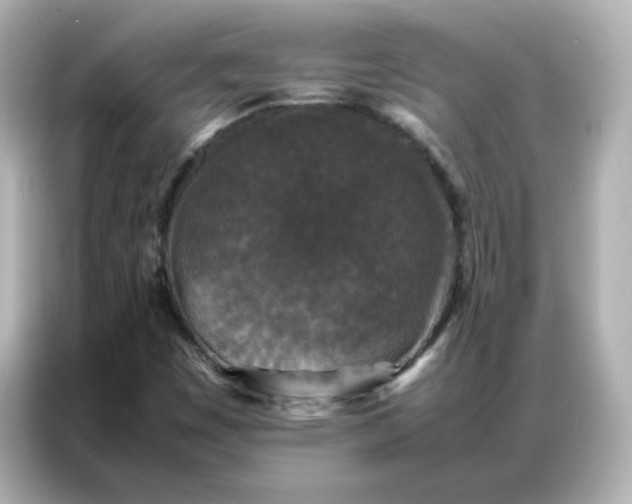 X0000086921449200704301047