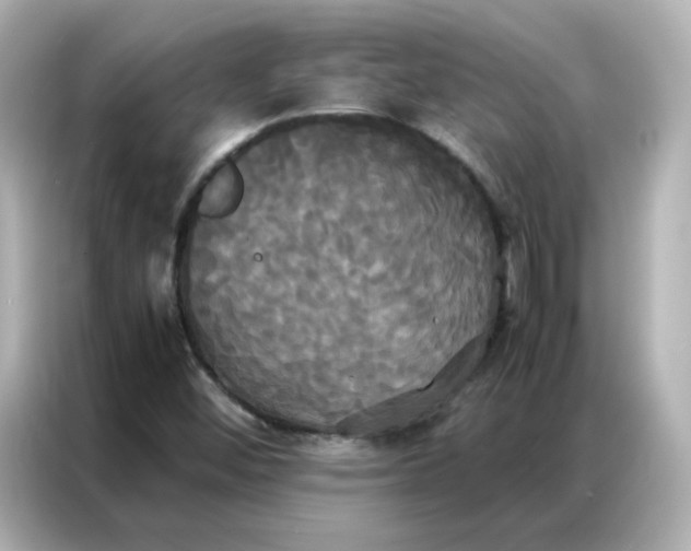 X0000086921452200704301047