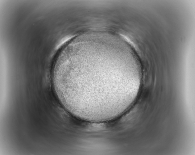 X0000086921453200704301047