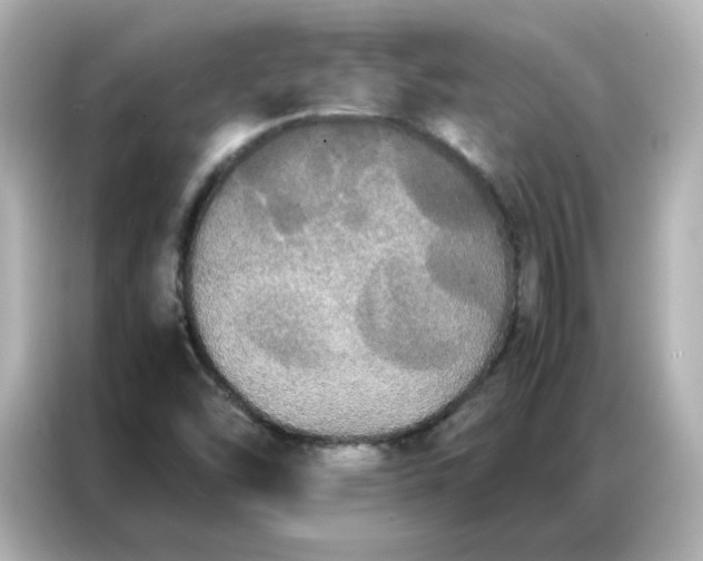 X0000086921454200704301047