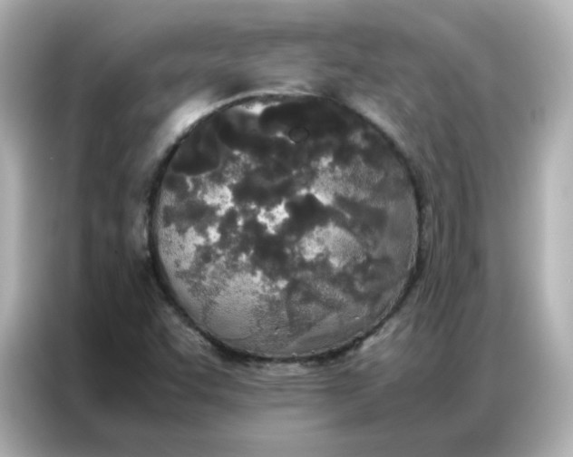 X0000086921455200704301047