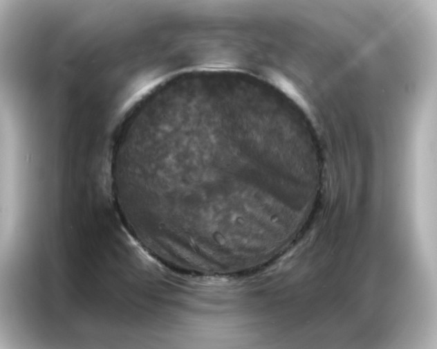 X0000086921456200704301047