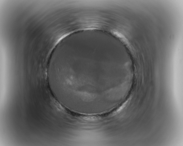 X0000086921457200704301047