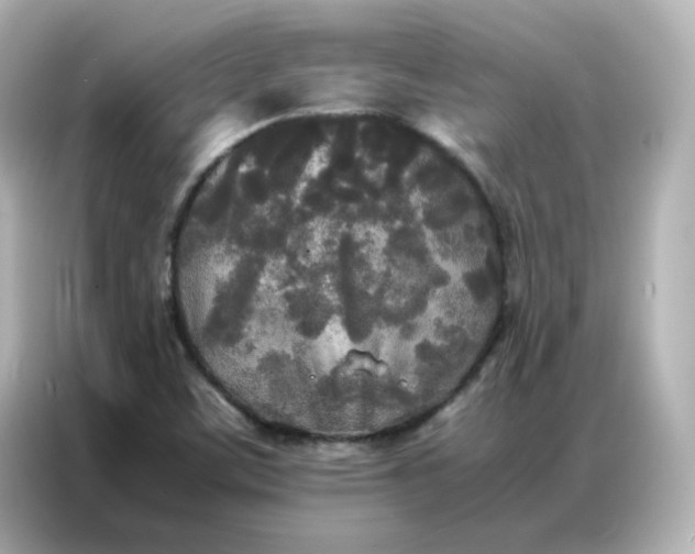 X0000086921459200704301047