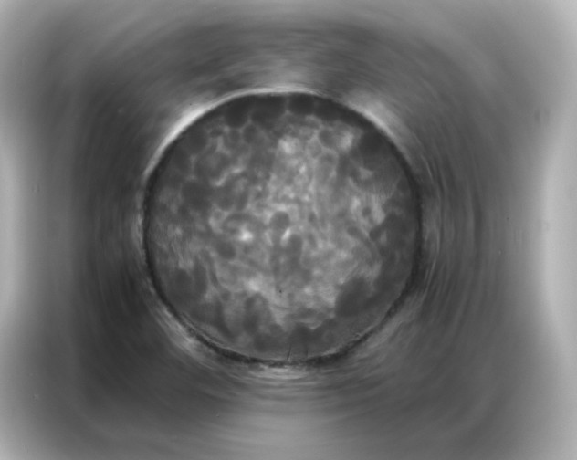 X0000086921460200704301047