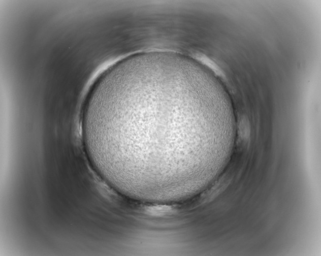 X0000086921462200704301047