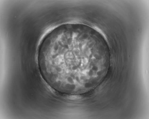 X0000086921464200704301047