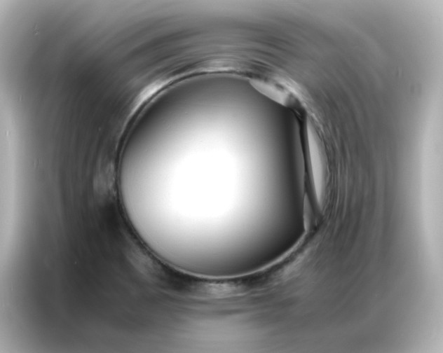 X0000086921465200704301047