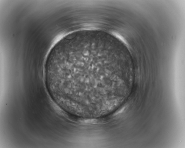X0000086921467200704301047