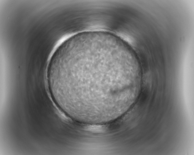 X0000086921470200704301047