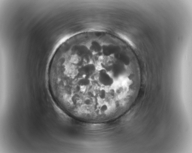 X0000086921471200704301047