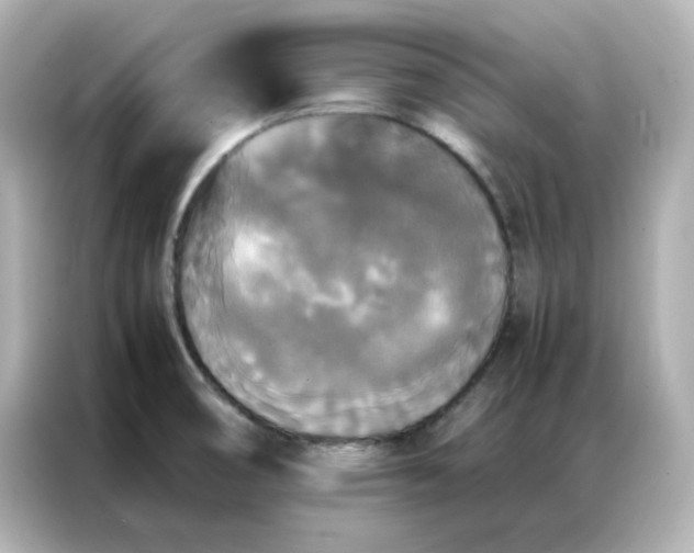 X0000086921474200704301047