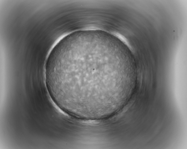 X0000086921476200704301047