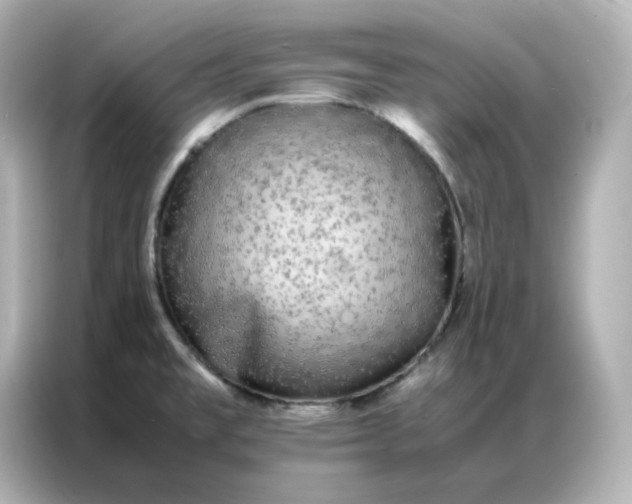X0000086921477200704301047