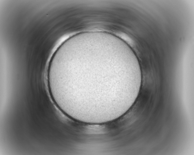 X0000086921478200704301047