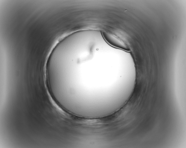X0000086921479200704301047