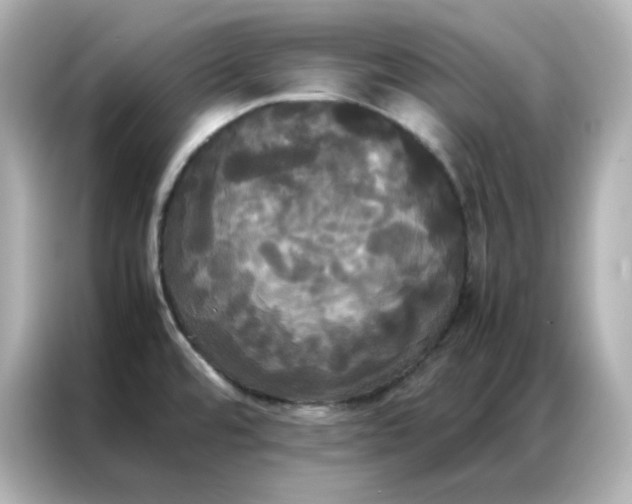 X0000086921480200704301047