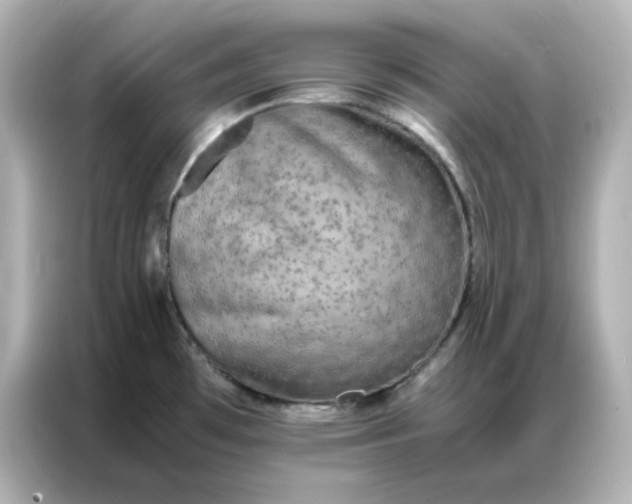 X0000086921481200704301047