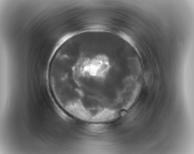 X0000086921482200704301047
