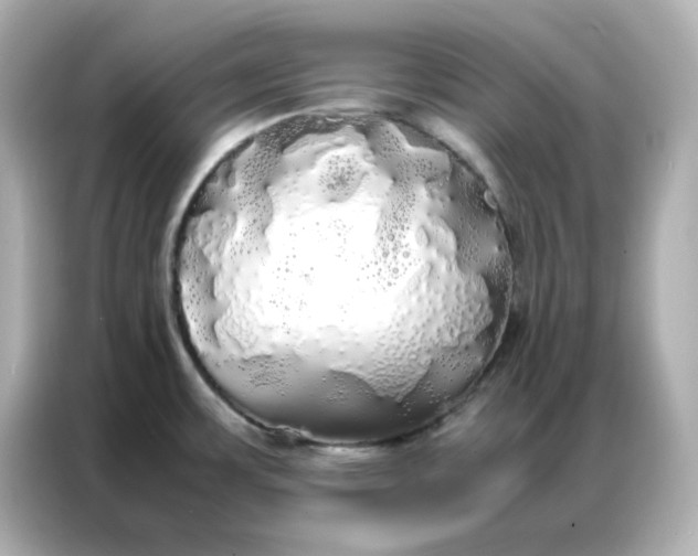 X0000086921483200704301047