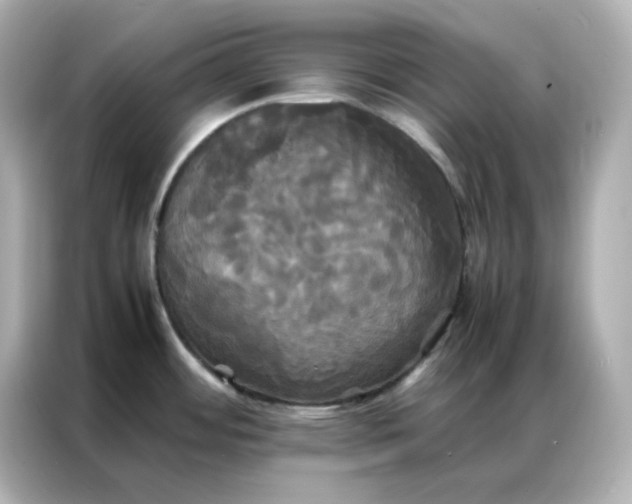 X0000086921484200704301047