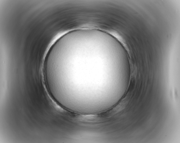X0000086921486200704301047