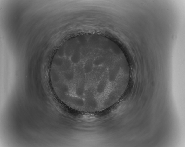 X0000086921489200704301046