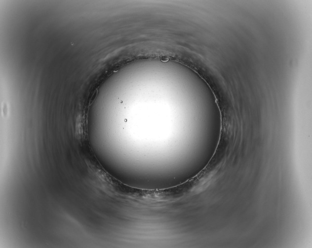X0000086921490200704301046